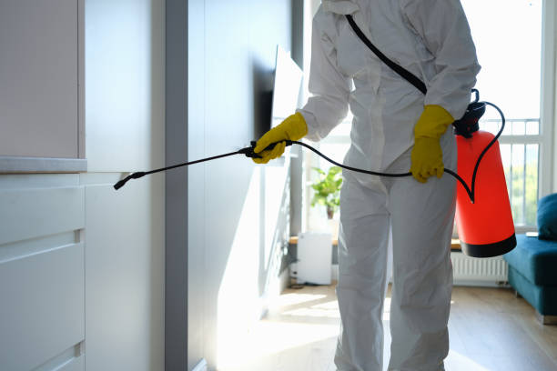 Mold Remediation for Vacation Homes in Hebron, OH