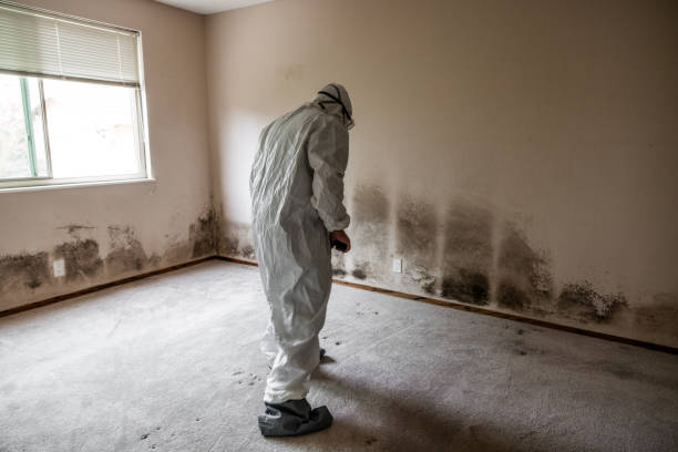 Best Mold Removal for HVAC Installations  in Hebron, OH