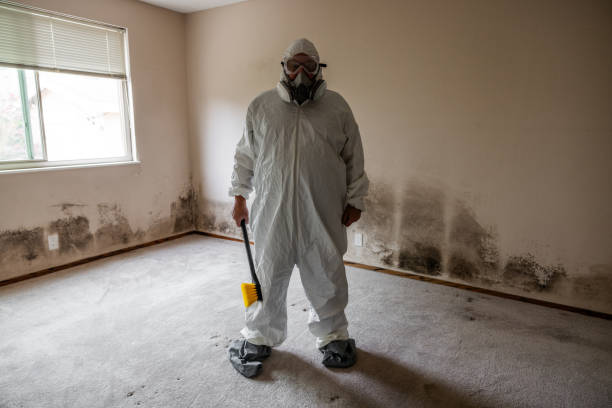 Mold Documentation for Insurance Claims in Hebron, OH